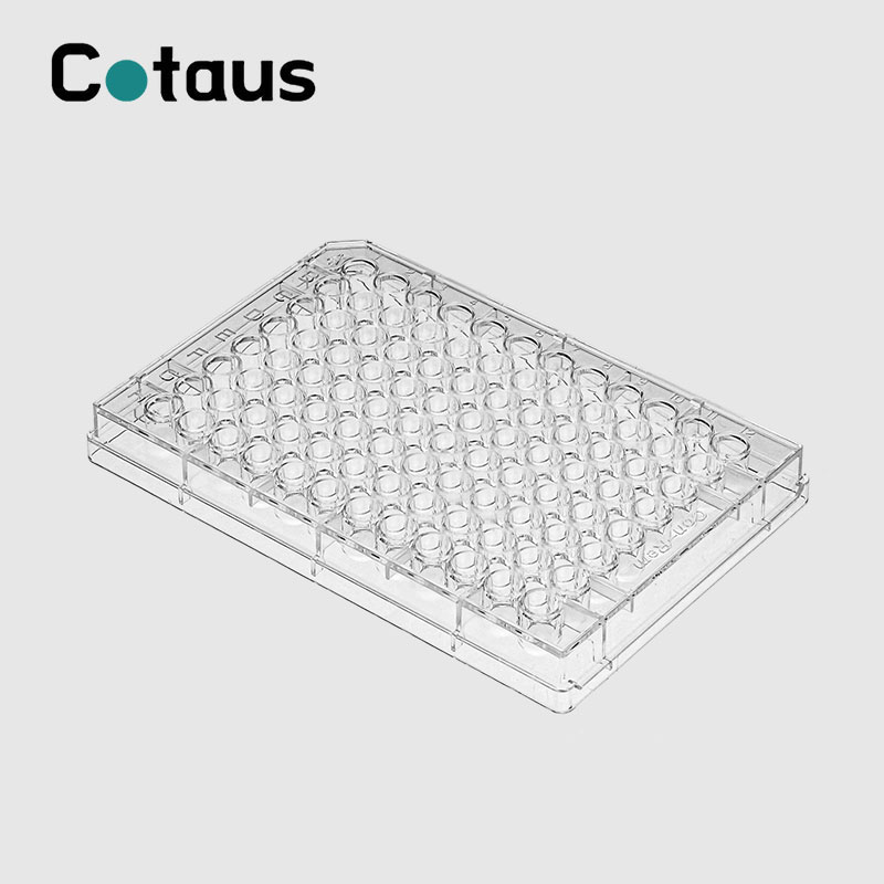 Introducere Elisa Plate